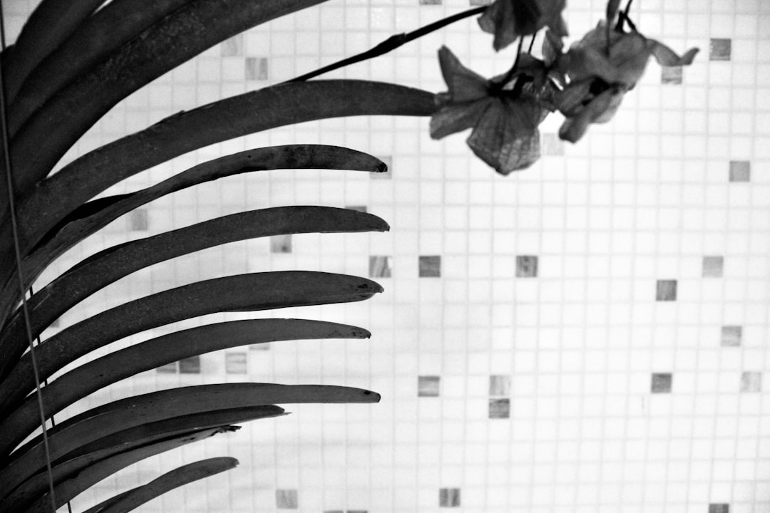 Women's Depression Risk Is Hardwired New Study Reveals