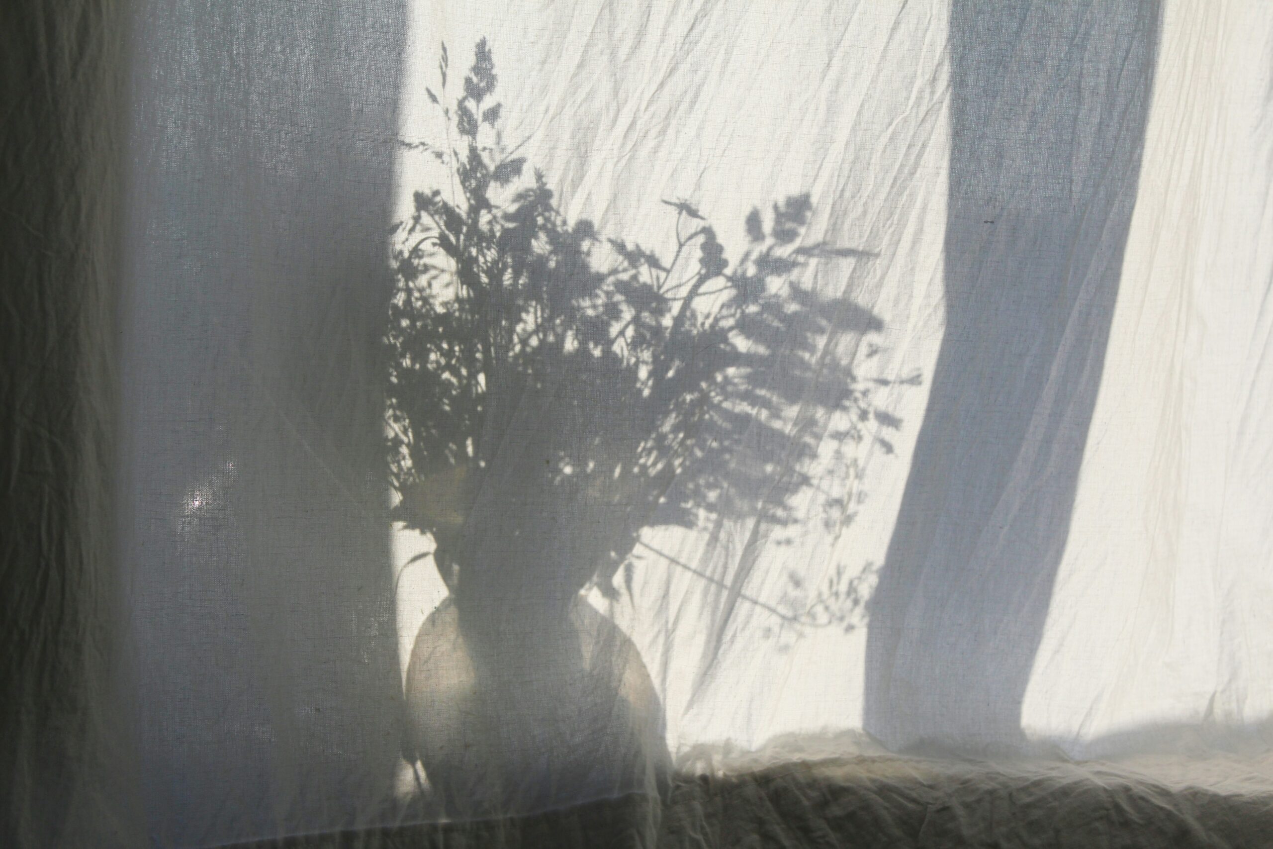 How Women Can Build Stress Resilience