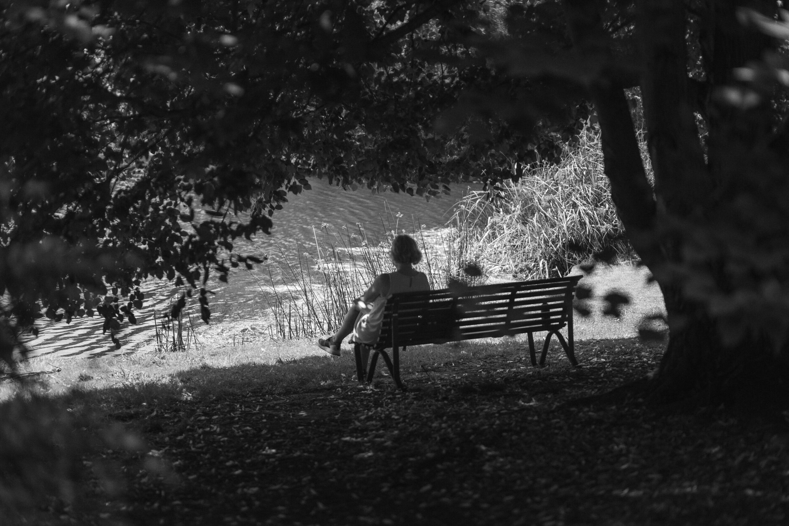 Anxiety vs. Ambition: Tools to Calm a Busy Brain