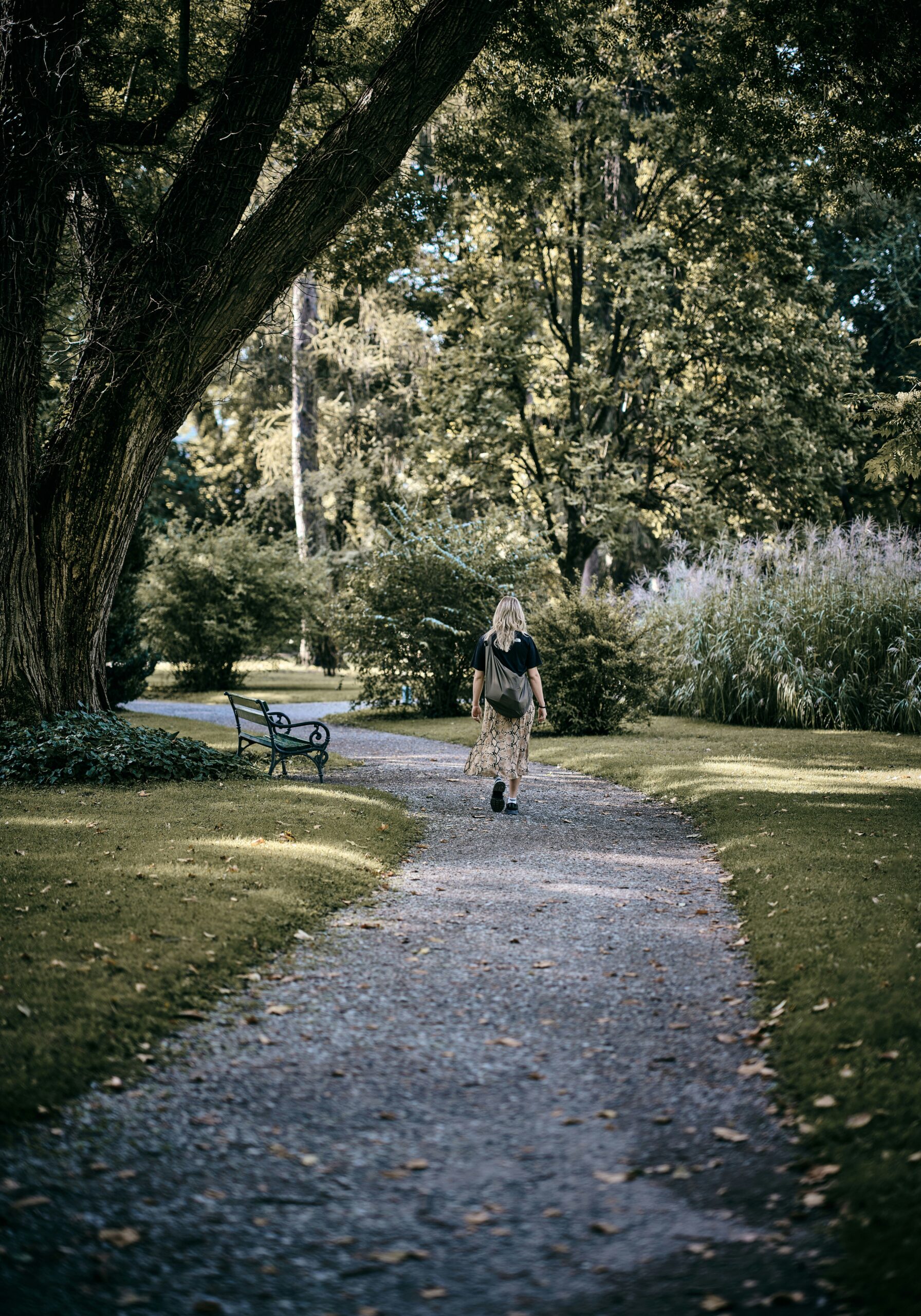 Hormone‑Friendly Habits for All‑Day Energy