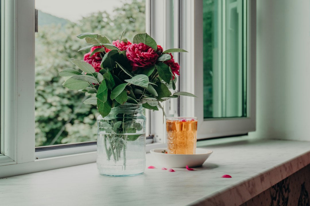iron supplement tips for women - TechMae